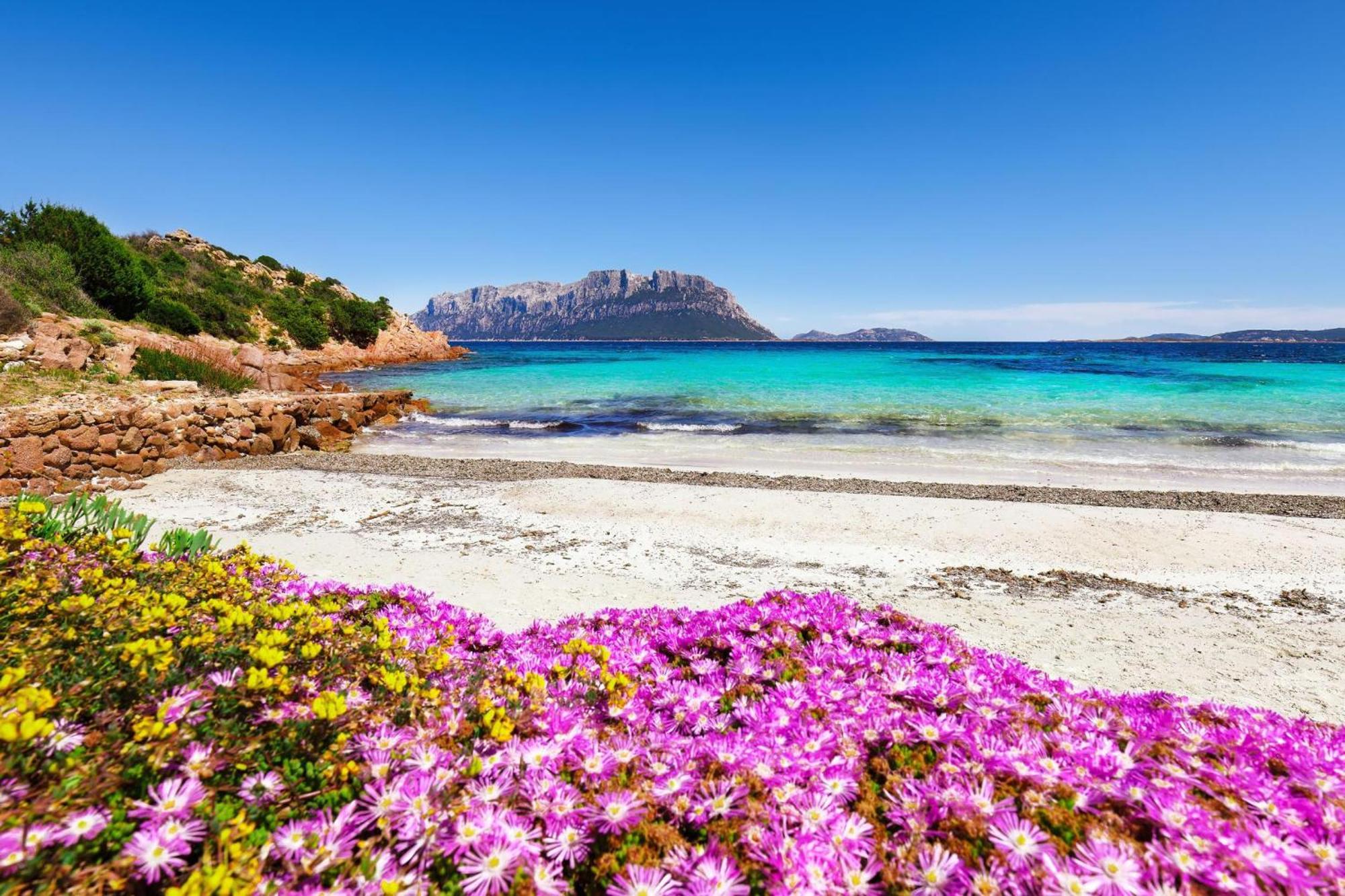Glori House 50m From Marina Di - Happy Appartamento Olbia